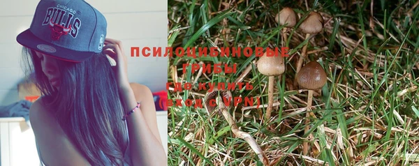 прущие крисы Абдулино