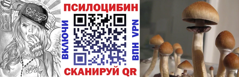 Псилоцибиновые грибы Cubensis Разумное
