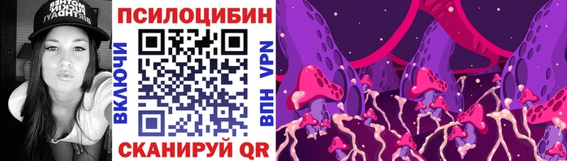 omg сайт  Разумное  Псилоцибиновые грибы Psilocybine cubensis 